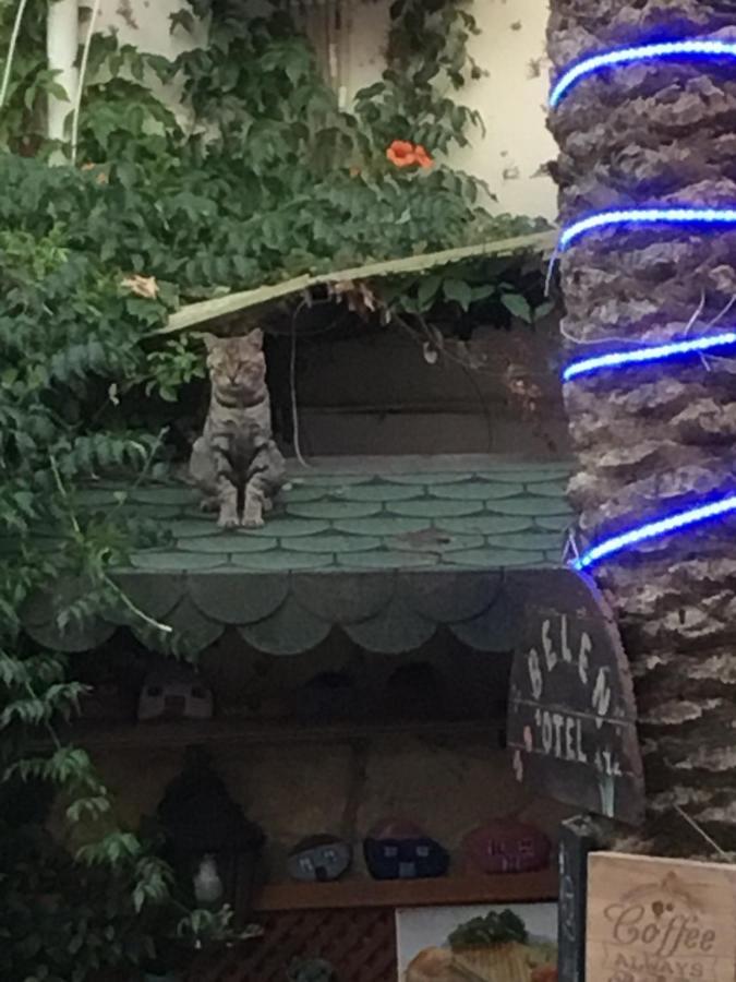 Belen Hotel Side Dış mekan fotoğraf